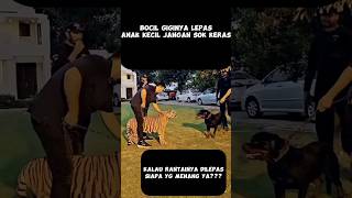 Download lagu HARIMAU VS ANJING,SIAPA YANG MENANG #shorts mp3 Download lagu HARIMAU VS ANJING,SIAPA YANG MENANG #shorts mp3