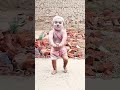 Kala Kala Dhan Shorts Dance