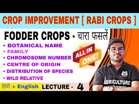 Crop Improvement rabi crops syllabus analysis bsc av 6th semester