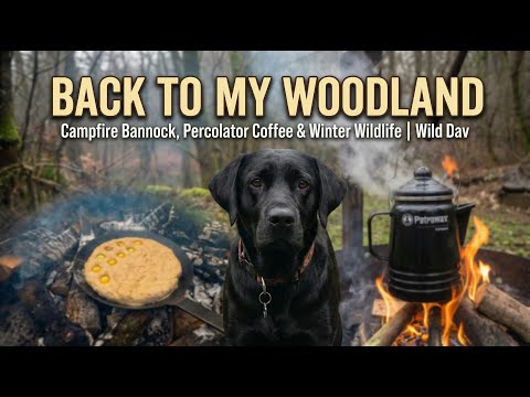 Open Fire Cooking in My Woodland | Wild Dav