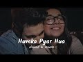 Humko Pyar Hua Slowed Reverb Musiq Mixtape
