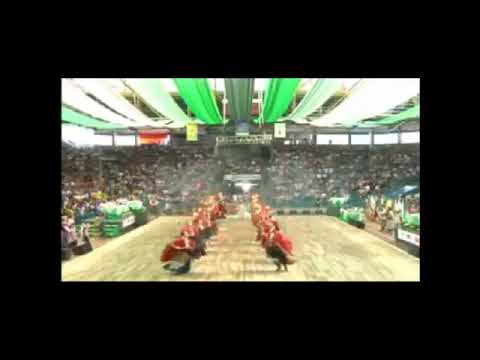 ALEXANDRE BRUNETTO - JACOBINA - GAN IVI MARAÉ