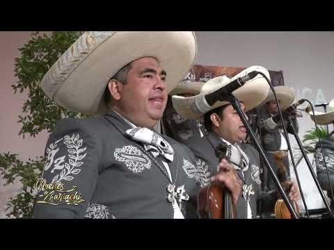 NOCHES DE MARIACHI -  MARIACHI JUVENIL ZAPOTILTIC