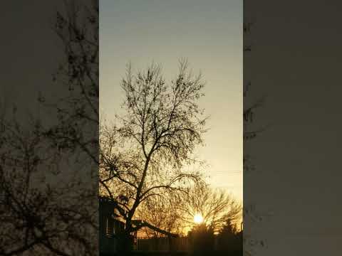 Hasretinden Prangalar Eskittim-Ahmet ARİF