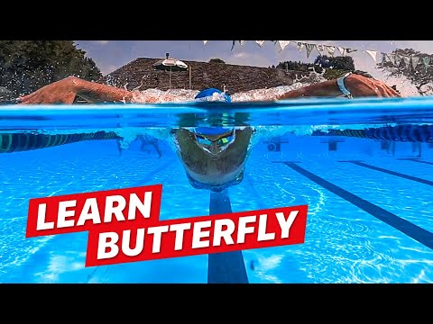 How to Swim Butterfly for Beginners