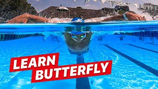 How to Swim Butterfly for Beginners