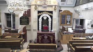 בית המדרש חזון יעקב • יום שלישי יג' חשוון תשפ'ו (בית הכנסת מוסאיוף) - התמונה מוצגת ישירות מתוך אתר האינטרנט יוטיוב. זכויות היוצרים בתמונה שייכות ליוצרה. קישור קרדיט למקור התוכן נמצא בתוך דף הסרטון בית המדרש חזון יעקב • יום שלישי יג' חשוון תשפ'ו (בית הכנסת מוסאיוף) - התמונה מוצגת ישירות מתוך אתר האינטרנט יוטיוב. זכויות היוצרים בתמונה שייכות ליוצרה. קישור קרדיט למקור התוכן נמצא בתוך דף הסרטון