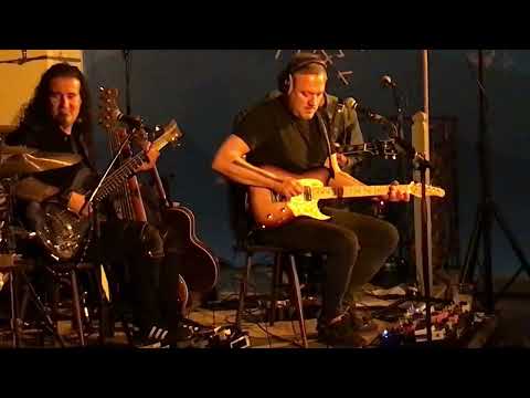 SONGBIRD FESTIVAL DAVOS I Baum