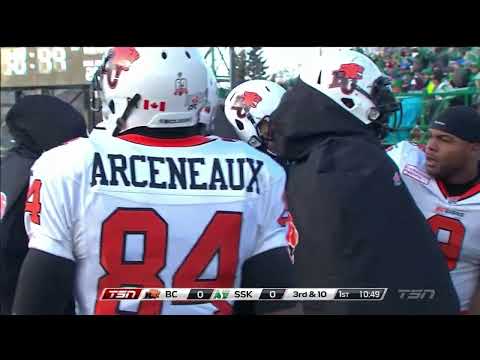 November 10, 2013 - CFL - West Semi-Final - BC Lions @ Saskatchewan Roughriders