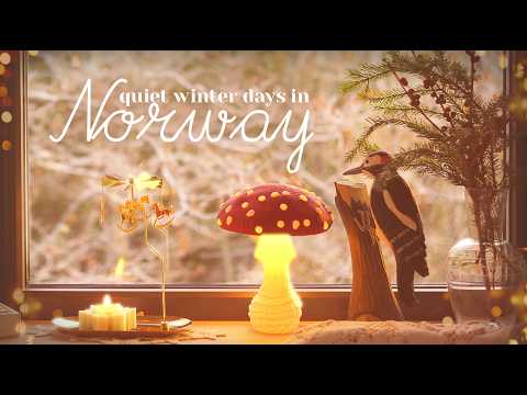 My Quiet Winter at the Forest Cabin in the North