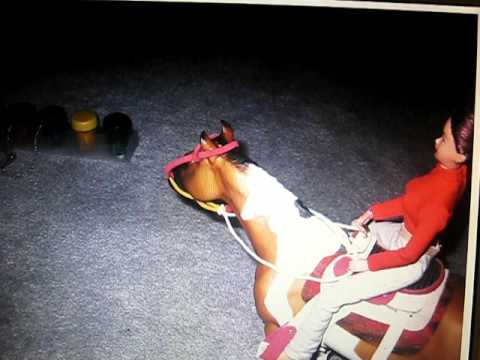 Meet Banjo...Fallout boy..I DON'T CARE