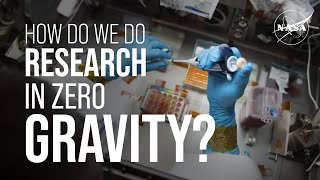How Do We Do Research in Zero Gravity? We Asked a NASA Expert