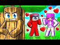Using INVISIBILITY To SPY On My CRUSH In Minecraft