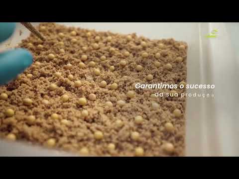 Centro de Biotecnologia na Agricultura