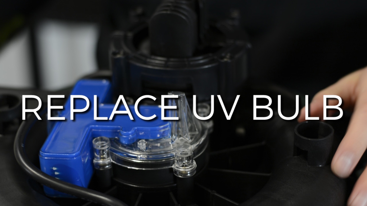 Watch video How to Replace a UV bulb in the Tetra Bio-Active Pond Filter | Webb's Online Now How to Replace a UV bulb in the Tetra Bio-Active Pond Filter | Webb's Online