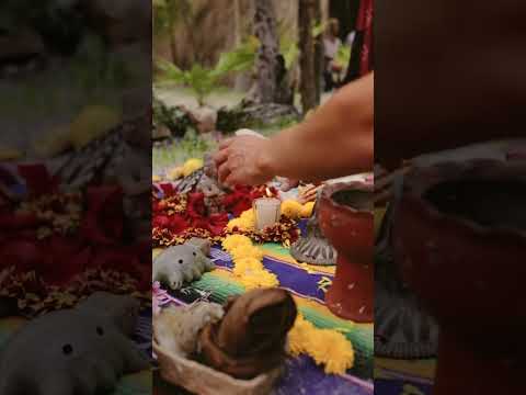 Play Video Youtube Video