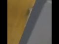 The Cat In The Hat Knows A Lot About That