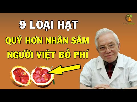 Giáo sư tiết lộ loại hạt QUÝ GẤP 1 TỶ LẦN NHÂN SÂM thể giới săn lùng mà người VIỆT bỏ phí