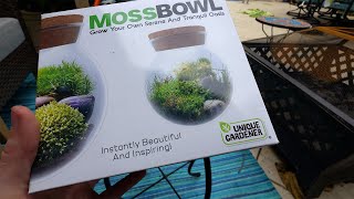 Reviewing Terrarium Kit From Menards