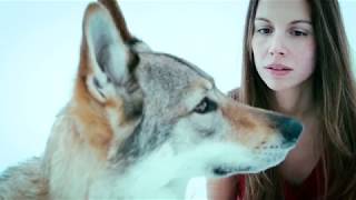 MINOR EMPIRES - "Trust" (OFFICIAL VIDEO)