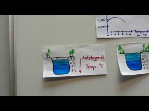 Biologische Bedeutung der Dichteanomalie von Wasser (Legebildvideo)