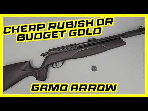 Budget PCP Sub 12 Gamo arrow review