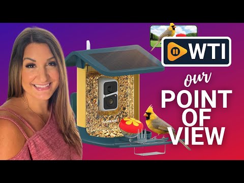 Bird Feeder with Camera - WTI product video review