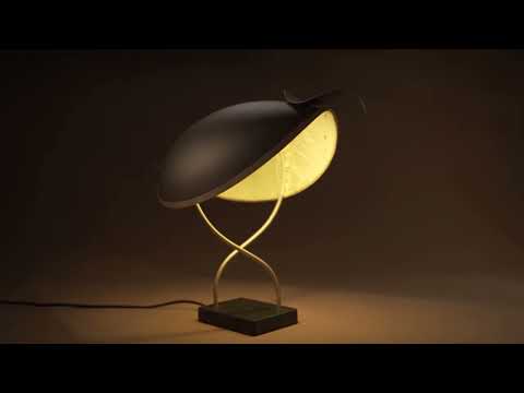 Projeto Soul Brasil Ed. Rio Grande do Sul " Abajur Sentinela "