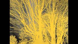 Nada Surf-When I was Young (new album 2012)