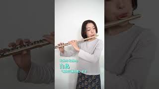 Download lagu 【100曲選】「動物の謝肉祭」白鳥／サン=サーンス　#Shorts #flute mp3