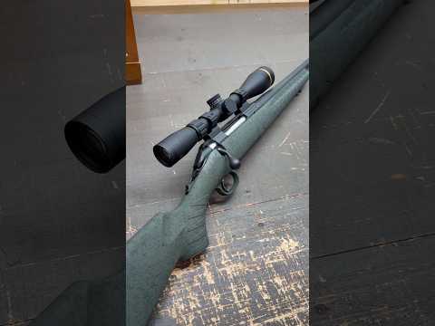 Gun Snobs HATE Me for This Cheap Rifle… [Glenfield Model A + Discovery Optics]