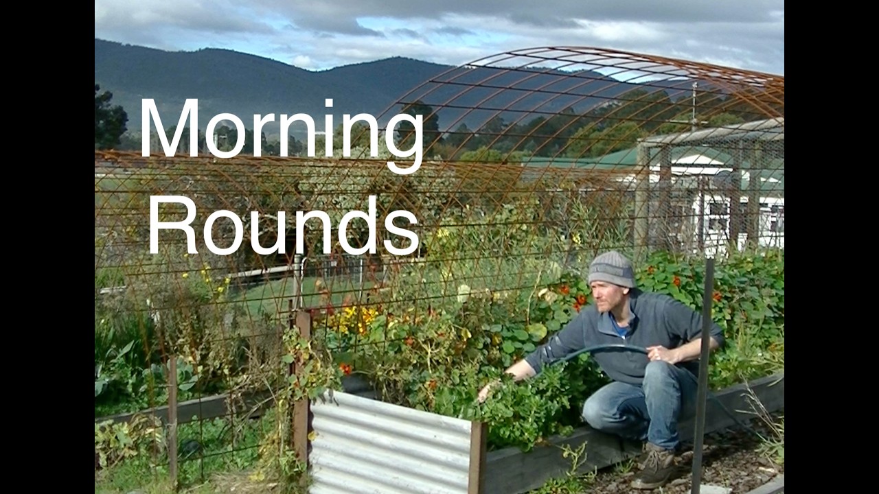 Still from Growing Our Way video 1, morning rounds on the family homestead