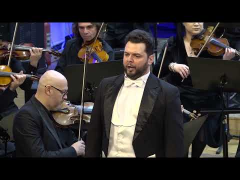 Fin ch'han dal vino - Don Giovanni - W.A.Mozart! (Daniel Pop)