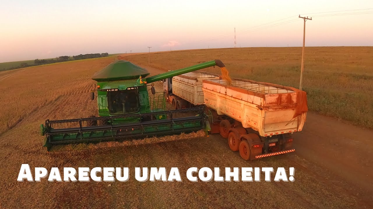 Colhemos nosso fundão e ainda colhemos pro vizinho!