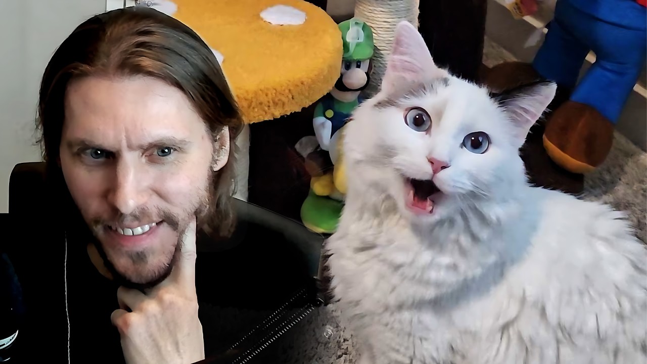 Jerma Gets a Cat