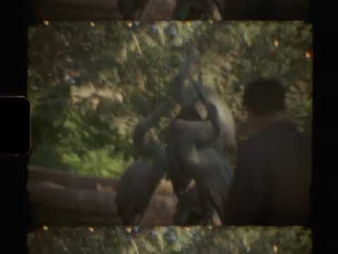 PaintItBlues - Deceased [ Official Music Video ]