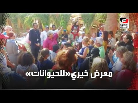 تحية حسين الشحات لـ«فايلر» 