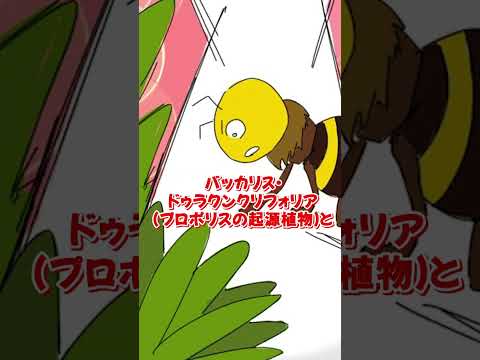 庭のミツバチの牧草地:これらの60の植物がこれに適しています トピックス