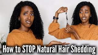 How to Stop NATURAL HAIR SHEDDING | Tips, Tricks &amp; More! | Lydia Tefera