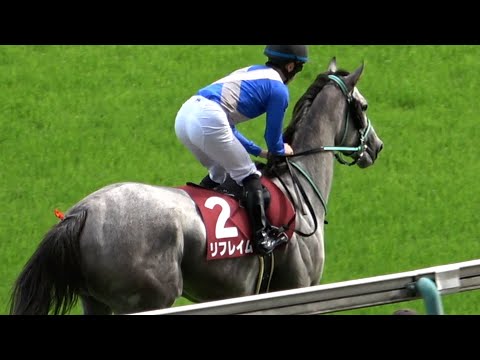 【メイケイエール】【リフレイム】2022 京王杯スプリングカップ 本馬場入場 現地映像 クセ強対決