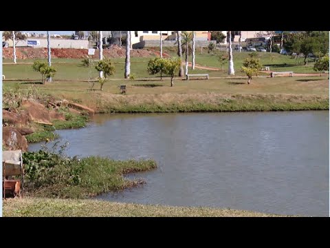 Esgoto e produto químico causam mortandade de peixes em lagos de Santa Gertrudes