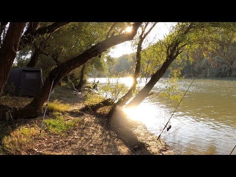 Mirificul canal Tătaru ne-a atras iar 🥰