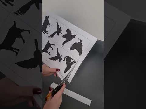 Animal Quiz: Augmented Reality video thumbnail