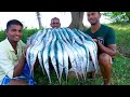 KING Of GARFISH Recipe Grandpa Cooking Garfish Recipe Seafood Recipes Fish Curry Village Food
