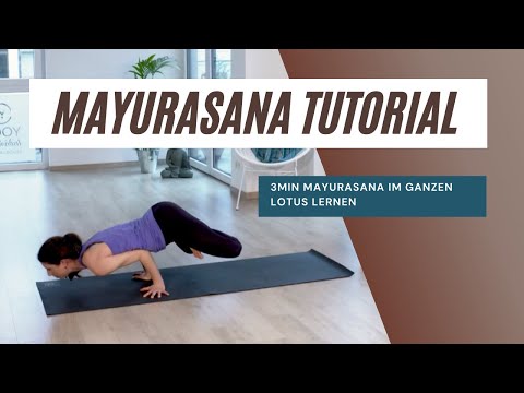 Mayurasana Variation Tutorial