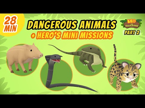 Witness21 Editor  2021 07 22