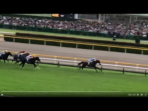 【1.5倍ズームUP】第160回天皇賞秋 GⅠ②アーモンドアイ圧勝 2019.10.27 東京競馬場フジビュースタンド東自由席