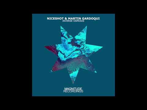 Niceshot & Martin Gardoqui - Inverse Osmosis (Yuriy From Russia Remix)
