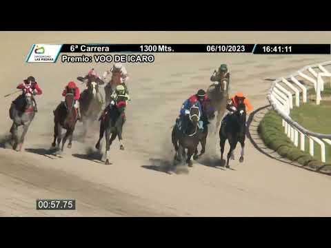 231006 c06 - ROYAL TRICK (BRZ) - HIPODROMO LAS PIEDRAS