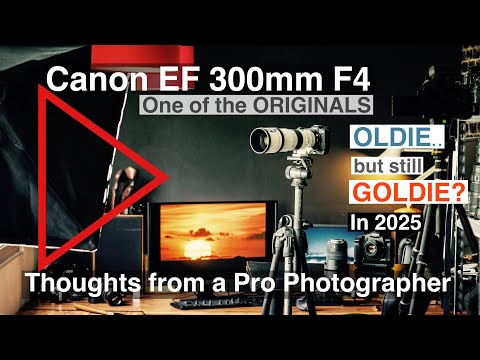 Canon 300mm F4 EF Telephoto lens in 2025 after 30 years of use! Thoughts from a pro photographer